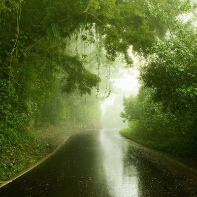 Timeline: Life by design