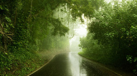 Timeline: Life by design