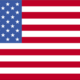 Us lgflag