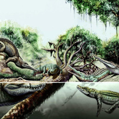 Timeline: Oligocene, Miocene, and Pliocene epoch