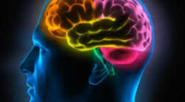 Timeline: Línea del tiempo Teoría del Currículo