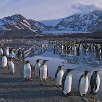 Timeline: ja Taped by the ice