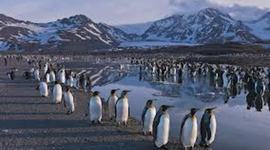 Timeline: NMK: Trapped by the Ice