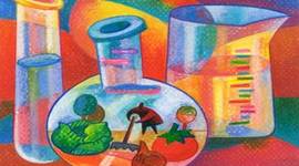 Timeline: Alquimentos - history