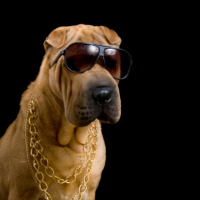 Timeline: Tecnologies in the time