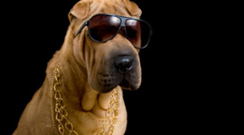 Timeline: Tecnologies in the time