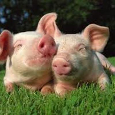 Timeline: Det långa 1800-talet