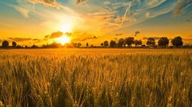 Timeline: социально-экономическое развитие русских земель с  10 по 17 века