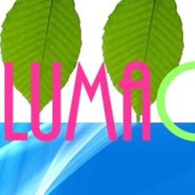 Timeline: Empresa Dalumaos