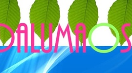 Timeline: Empresa Dalumaos