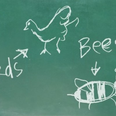 Timeline:  Sex Education