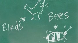 Timeline:  Sex Education