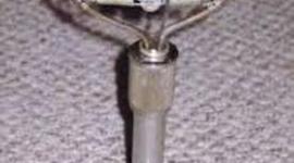 Timeline: Microphone to the Bread and Circuses