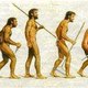 Evolucion tecnologica
