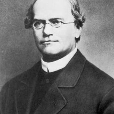 Timeline: Gregor Mendel