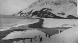 Timeline: Trapped by the Ice, Sydney C.