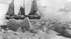 Timeline: shacks crew12