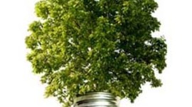 Timeline: ORIGEN DE DESAROLLO SUSTENTABLE