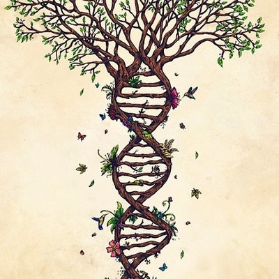 Timeline: Administracion ambiental