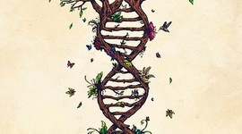 Timeline: Administracion ambiental