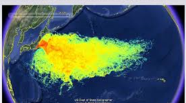 Timeline: 6th hour Talley Frus- fukushima