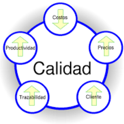 Timeline: Evolución de la Calidad