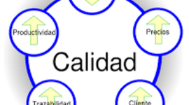Timeline: Evolución de la Calidad