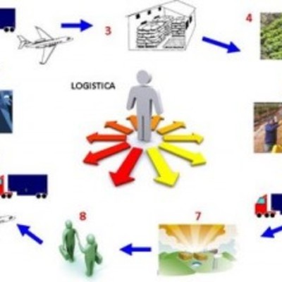 Timeline: EVOLUCION DE LA LOGISTICA