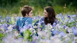 Timeline: Сумерки