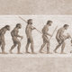 Evolucion del hombre