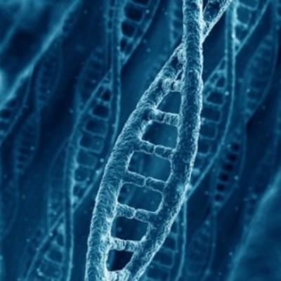 Timeline: How to become a geneticist in 5 years