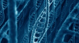 Timeline: How to become a geneticist in 5 years