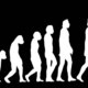 Evolucion
