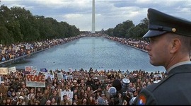 Timeline: Forest and his history