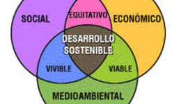Timeline: Desarrollo Sostenible