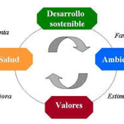Timeline: desarrollo sostenible