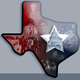 Texas 20politics