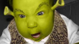 Timeline: The life of Boy