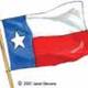 Texas flag