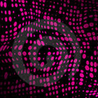 Timeline: evolucion de internet