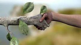 Timeline: LAS CUMBRES DE MEDIO AMBIENTE