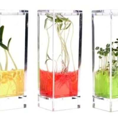 Timeline: CULTIVO DE VEGETALES INVITRO