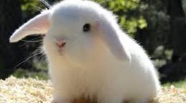 Timeline: un poco de mi vida