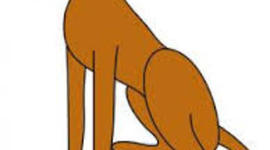 Timeline: mi primera mascota