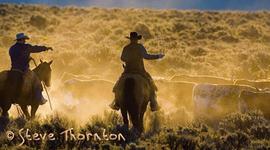 Timeline: CIERI 4 Casey