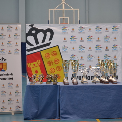 Timeline: Evolución de equipos final, Liga de futbol Sala Arroyomolinos