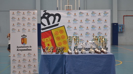 Timeline: Evolución de equipos final, Liga de futbol Sala Arroyomolinos