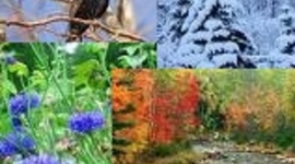 Timeline: Neli aastaaega