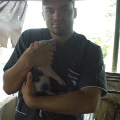 Timeline: Clase de Agropecuarias