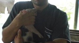 Timeline: Clase de Agropecuarias